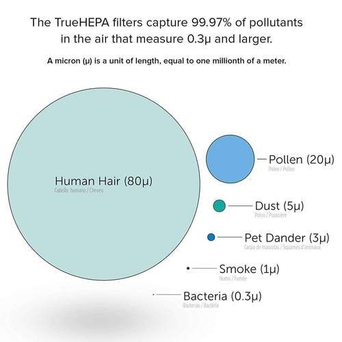 Revive True HEPA Air Purifier captures 99.97 percent of air pollutants
