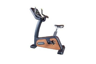 Cardiovascular and Full Body Fitness Uprigth Bike with Optional Touchscreen and 40 Resistance Levels - C576U by SportsArt