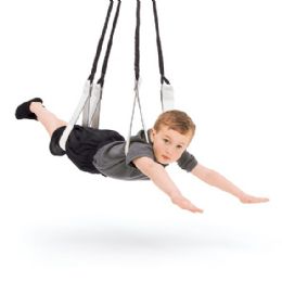 Standard Dual Indoor Occupational Therapy Sensory Swing