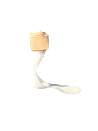 Foot Splint for Foot Drop / Swedish Style AFO by Alpha Medical