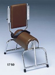 Bailey Adjustable Roll Chairs