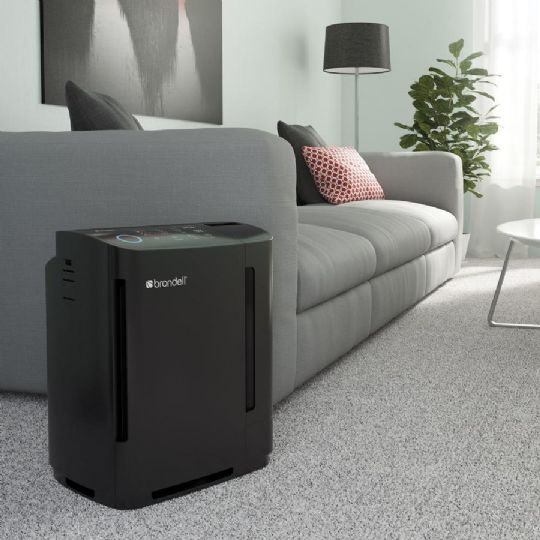 Revive True HEPA Air Purifier and Humidifier for Indoor Use