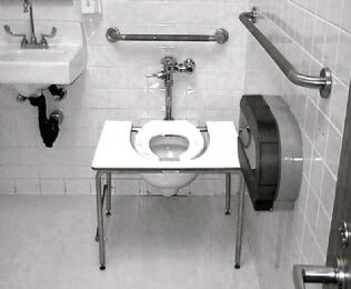 Standard Toilet Transfer Bench