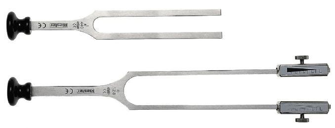 Stainless Steel Rydel-Seiffer Tuning Fork with Base