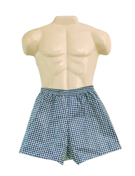 Dipsters Disposable Patient Wear / Swimwear, Elastic Waist Boxer-type