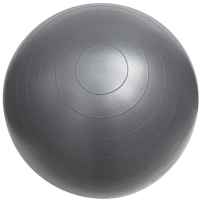 Fitterfirst Classic Exercise Ball Chair