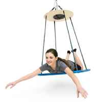 Modified Platform Therapy Swing