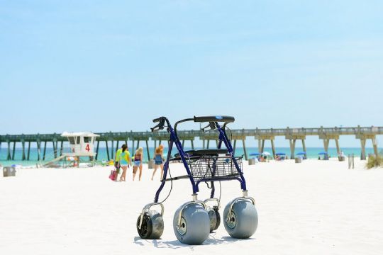 Replacement 30cm Wheeleez Wheels for the All Terrain Folding Aluminum Beach Walker