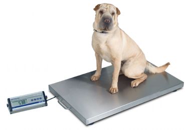 Digital Veterinary Scale