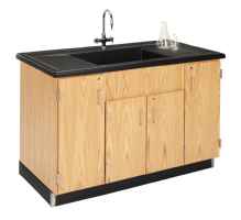 Science Laboratory Clean Up Sink