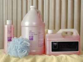 Shampoo, Body Wash, Skin Care and Liquids Starter Kits by Arjo