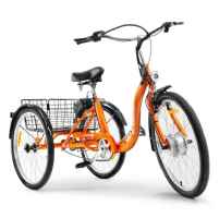 Electric Tricycle With Pedal Assist Mode and 330 lbs. Capacity from SuperHandy