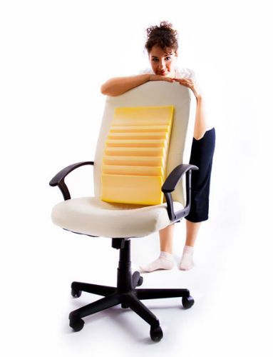 Vertical Lumbar Support Cushion without Cover on