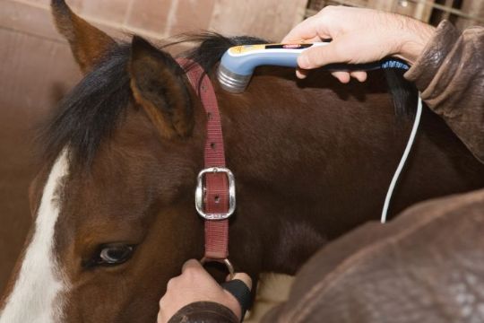 Laser module is REQUIRED for laser therapy