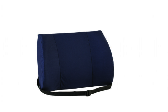 Back Support Cushion in Blue