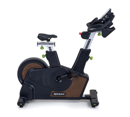 ECO-NATURAL Indoor Stationary Exercise Bike