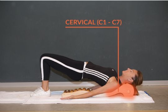 The upper section applies pressure to the cervical vertebra (C1-C7).