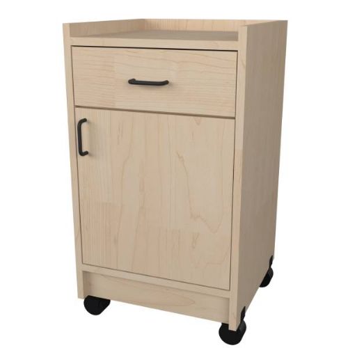 Stor-Edge Mobile Treatment Cart with Drawer and One Hinged Door
