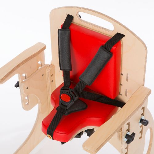 Adjustable five-point harness 