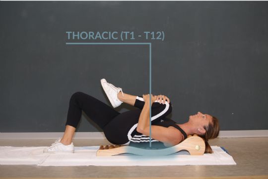The middle section applies pressure to the Thoracic (T1 - T12) spinal discs. 