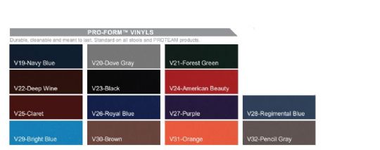 Vinyl upholstery options