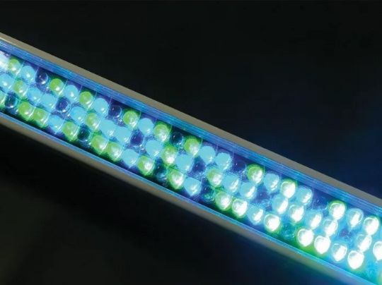 Ultra bright, low-maintenance LED bulbs provide a beautiful array of light
