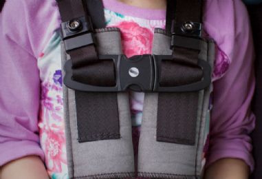 Chest Clip and Buckle Guards for the Roosevelt Special Needs Carseat