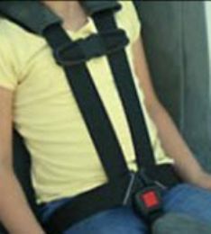 Extra Long Harness for Roosevelt Child Safety Car Seat
