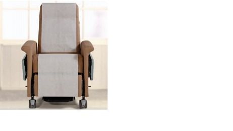 Paper Roll Dispenser for Champion Medical Recliner Chairs