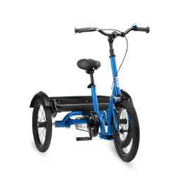 Special Needs Adaptive Tricycle with Folding Frame for Improved Motor Coordination and Spatial Perception - Biko Small by Ormesa