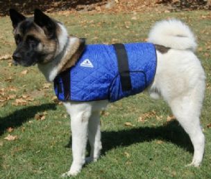 HyperKewl Evaporative Cooling Dog Coat