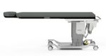 CFPM400- 22 x 84 in. Tilt Top with Integrated Headrest