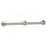 Stainless Steel Grab Bar - 36 in. (Factory Installed)
