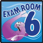 Exam Room 6