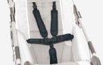 Five Point Harness for the Novus  4