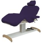 Standard Upholstery <br> 
<b> Purple </b>