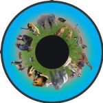 Animals Effects Wheel