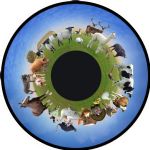 Farm Animals Effects Wheel