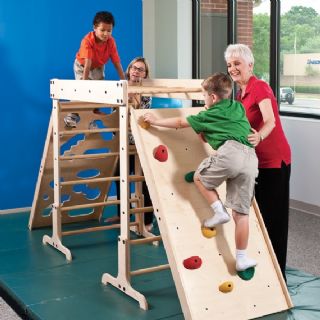 Jungle Gym Pediatric Occupational Therapy Sensory Equipment