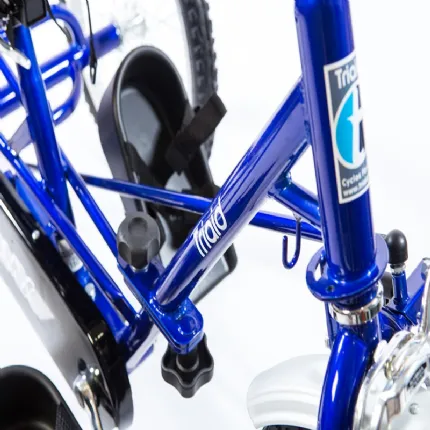 Folding Tricycle for Special Needs Child - TMX by Triaid