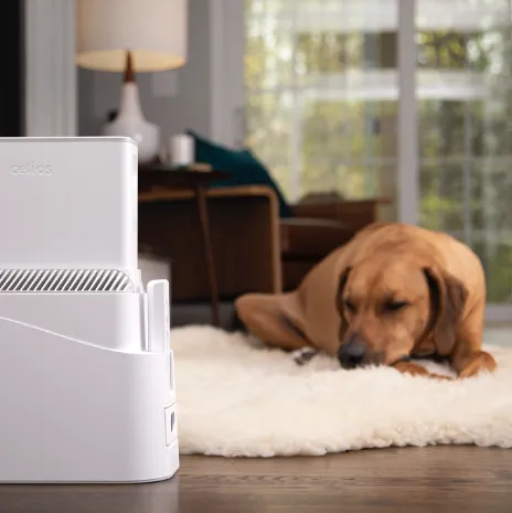 The SoClean Air Purifier filters pet dander