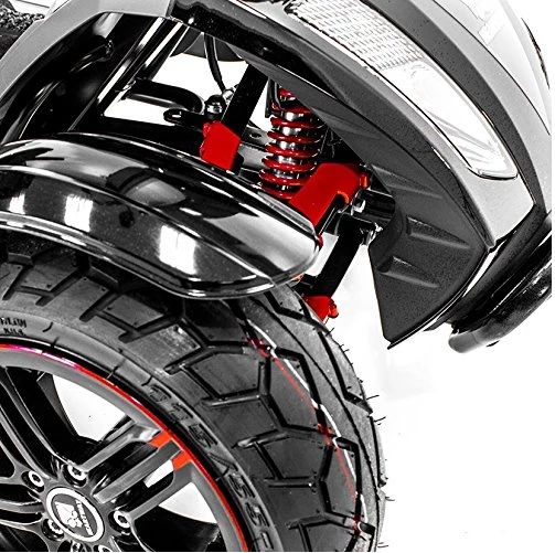 Rear light system and rear knobby (turf tires)