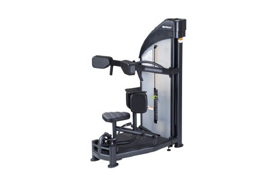 Rotary Torso Machine for Core Exercises from SportsArt