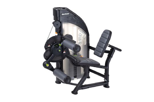 Leg Extension and Curl - Dual Function Strength Training Machine DF-300 with Varying Backs by SportsArt