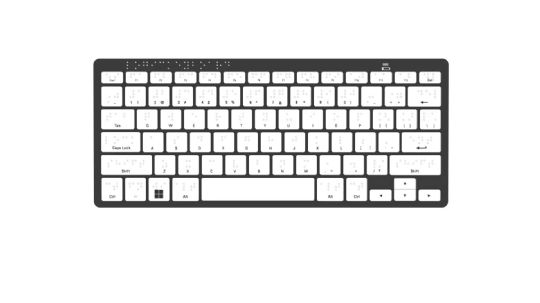 Braille Keyboard by Logickeyboard - for PC/Windows Option