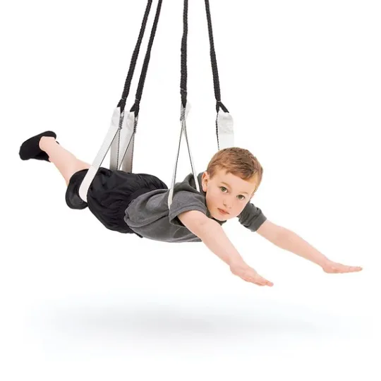 Standard Dual Indoor Occupational Therapy Sensory Swing