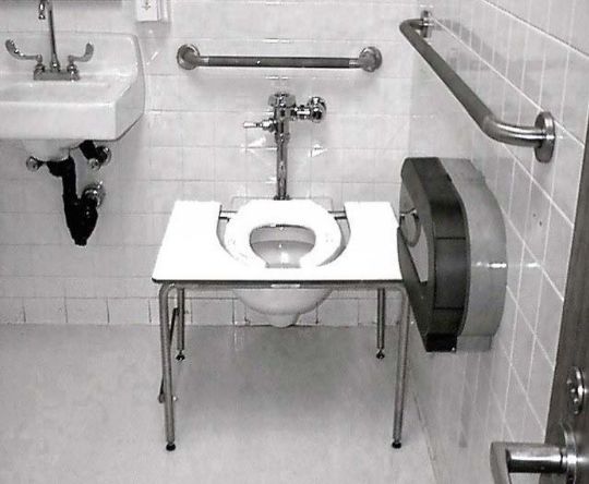 Standard Toilet Transfer Bench