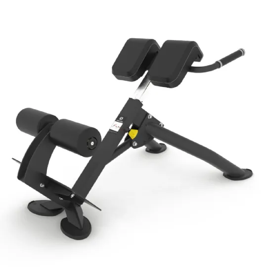 Back Extension Bench by Spirit Fitness with Fixed 45 Degree Angle