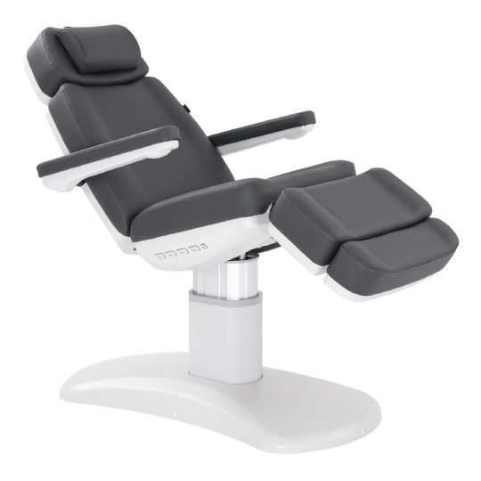 Facial Chair and Massage Bed with 4 Motors, Programmable Memory, and Adjustable Height - 2222BN by Silver Fox