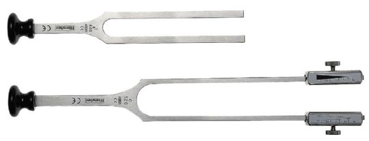 Stainless Steel Rydel-Seiffer Tuning Fork with Base